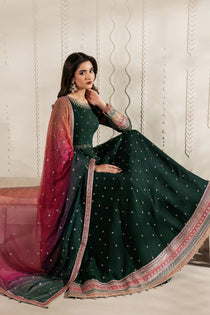 ALVA | Bayaan Chiffon | Zarif - Portia Fabrics