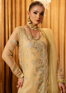 D08 I Dastan-e-Jashan - Festive 25 I Elle Premium - Portia Fabrics