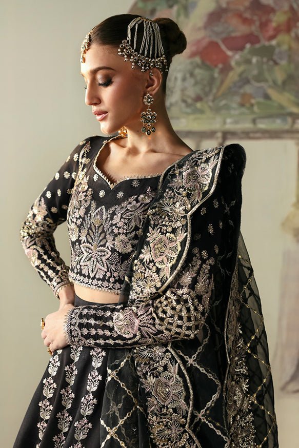 Husnara | Divani Silk Edit'25 | Afrozeh - Portia Fabrics