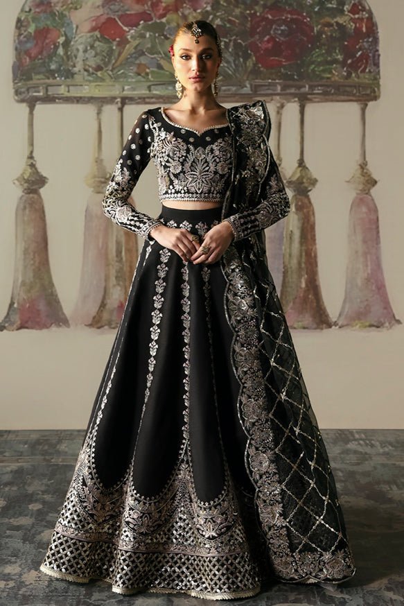 Husnara | Divani Silk Edit'25 | Afrozeh - Portia Fabrics Main image