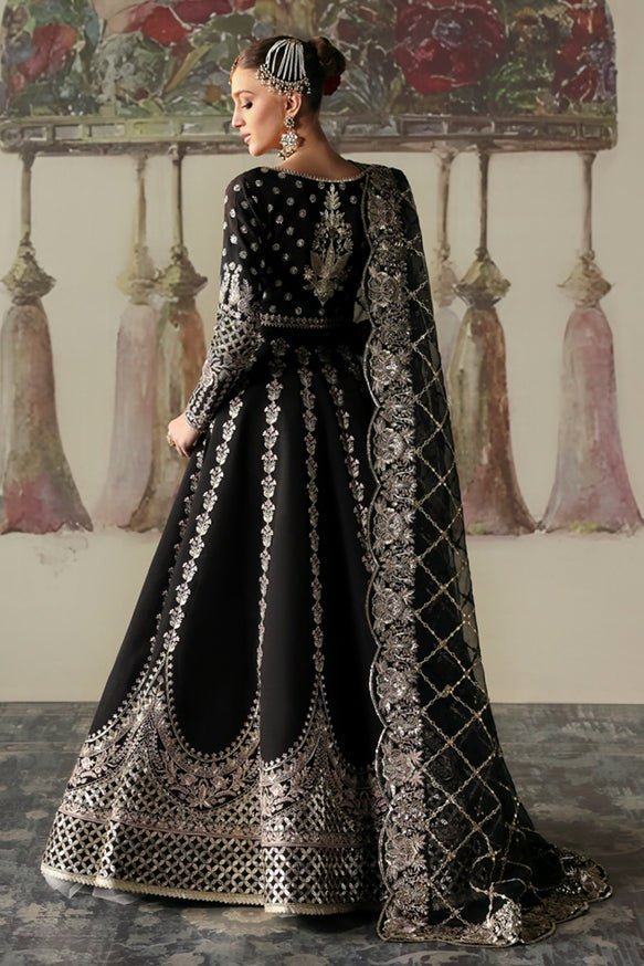 Husnara | Divani Silk Edit'25 | Afrozeh - Portia Fabrics
