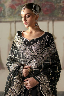 Husnara | Divani Silk Edit'25 | Afrozeh - Portia Fabrics