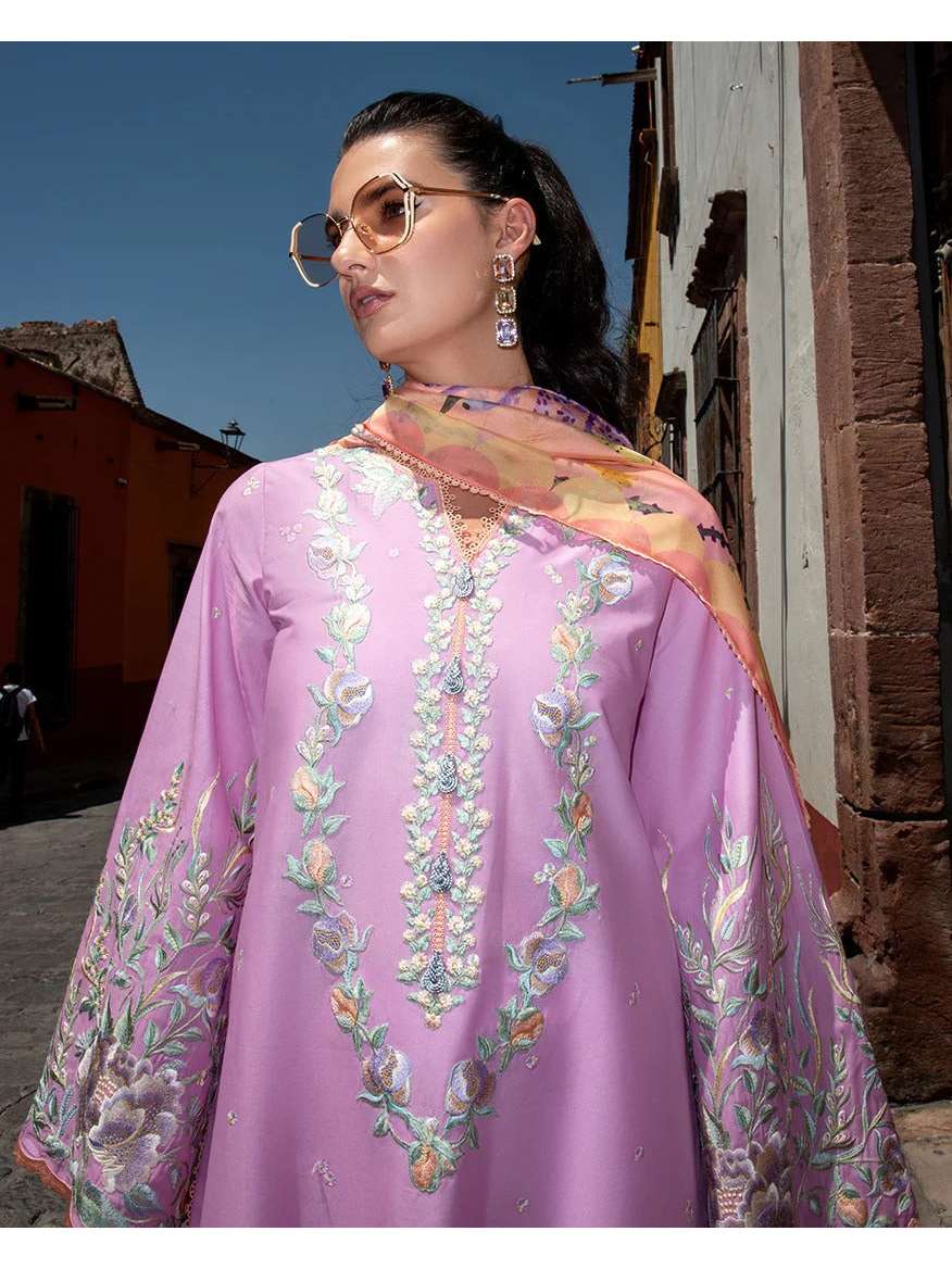Alba | odyssey | Lawn'26 | Mushq