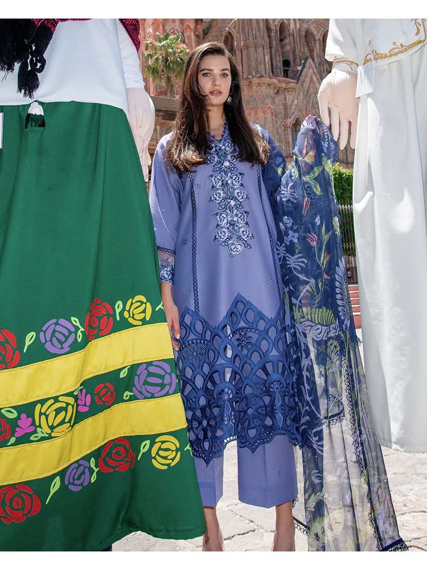 Juana | odyssey | Lawn'26 | Mushq