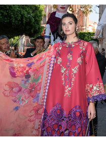 Nicolas | odyssey | Lawn'26 | Mushq