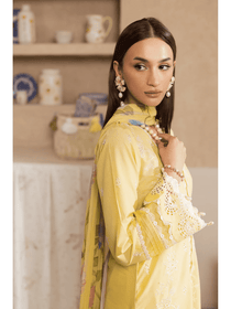 Nissa Chikankari Exclusive 03 | Raj Bari