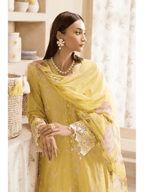 Nissa Chikankari Exclusive 03 | Raj Bari