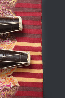 Pure Pashmina Qalamkar Shawl - Portia Fabrics