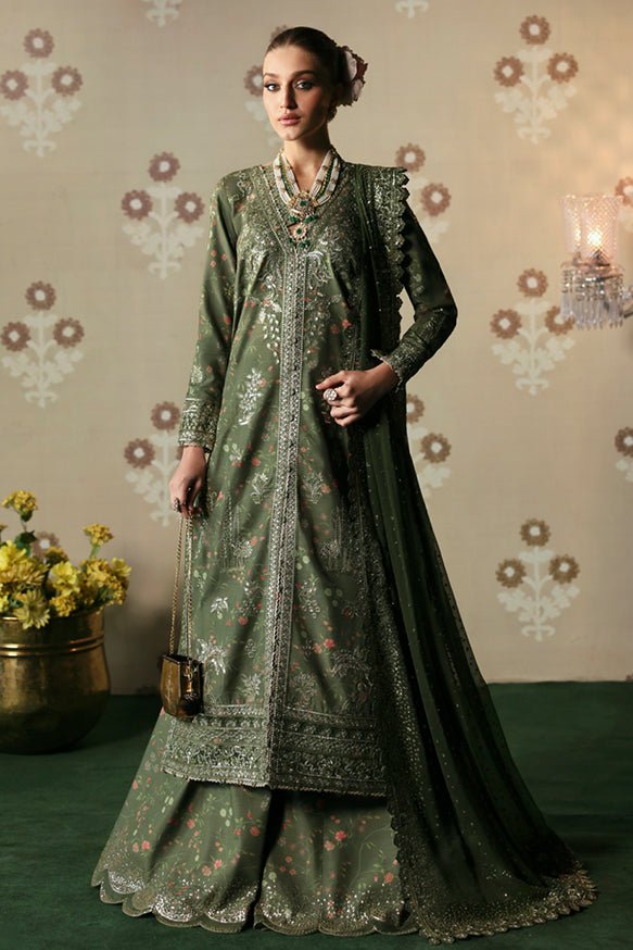 Zeba | Divani Silk Edit'25 | Afrozeh - Portia Fabrics